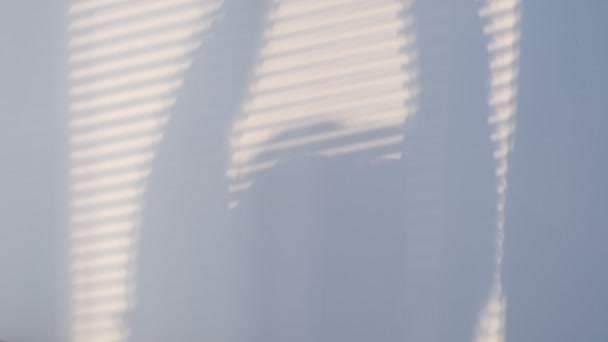 shadows on the wall from a window closed with blinds and a womans silhouette. Blurry dark shadows moving on the wall. motion of shadow. Slow motion video. stock footage - Footage, Video