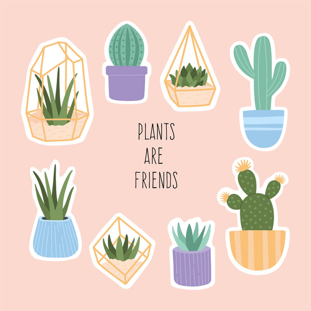 Big stickers set of succulent plants in pots and glass terrariums. Cute hand drawn cactus home plants collection, trendy modern vector illustration  in flat cartoon style, isolated on pink background. - Vector, Image