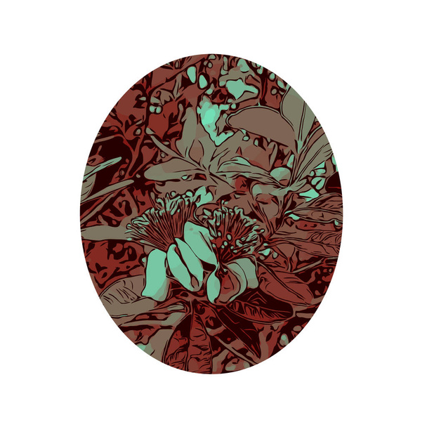 Vonalművészet illusztráció virág gyümölcs a feijoa vagy Acca sellowiana, egy örökzöld bokor vagy kis fa a dél-brazil felföld kész teljes színben - Vektor, kép
