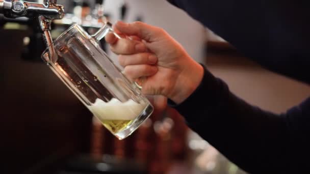 the bartender brings up a glass and pours a light unfiltered beer. Hand of master brewer pours light beer foam from a keg - Footage, Video