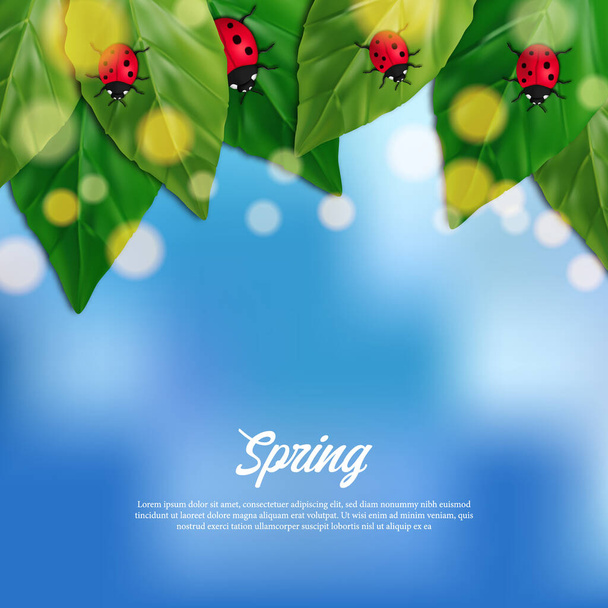 ladybug insect on the leaves at garden with blue sky background. Holiday spring season. greeting card template - Vektör, Görsel