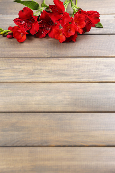 Beautiful freesia flowers, on wooden table - Foto, imagen