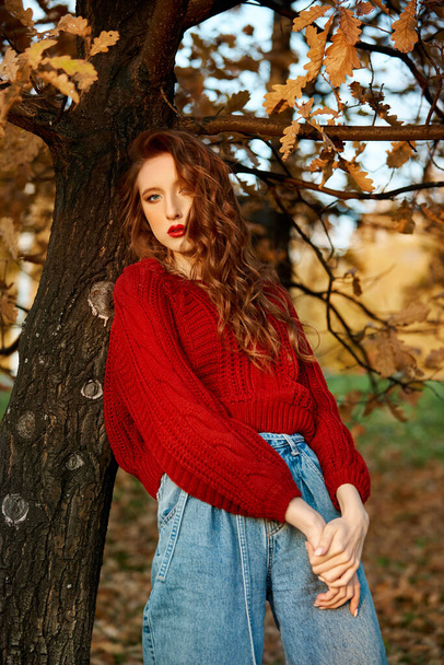 Redhead young woman in a red sweater walks in the park. Autumn beauty portrait of a fashionable Red-haired woman at sunset - Fotó, kép