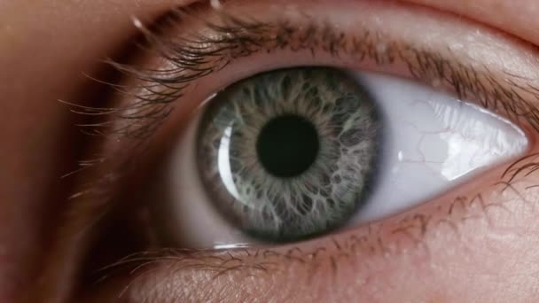Disparos de mirar ojo gris femenino - Metraje, vídeo