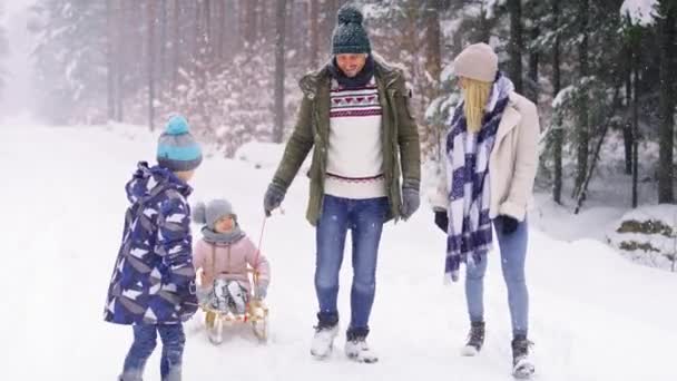 Perhe vetää kelkkoja lumen läpi metsässä. Laukaus punaisella heliumkameralla 8K. - Materiaali, video