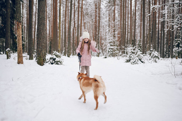 Szczęśliwy weekend rodzinny - mała słodka dziewczyna w różowej ciepłej bieliźnie spacerując bawiąc się z czerwonym psem shiba inu w śniegu białym zimowym lesie na świeżym powietrzu. Dzieci sport wakacje koncepcja działalności - Zdjęcie, obraz