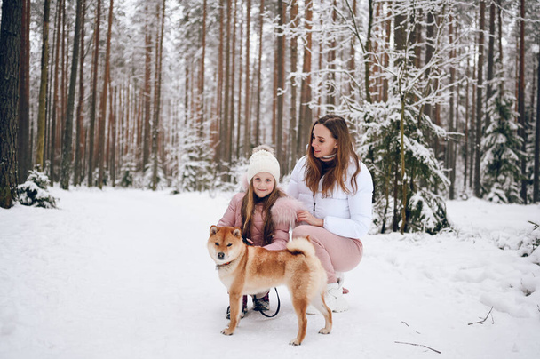 Счастливая семья молодой матери и маленькой симпатичной девочки в розовой теплой одежде, гуляющей весело с рыжей собакой шиба ину в белоснежном холодном зимнем лесу на улице. Отдых в семье - Фото, изображение