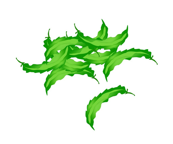 Стопка зеленой крылатой фасоли
 - Вектор,изображение
