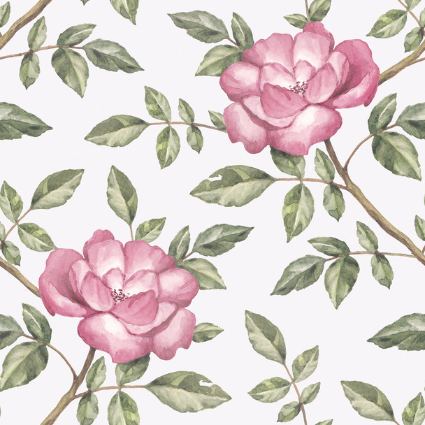 Watercolor pattern with rose illustration - Фото, зображення