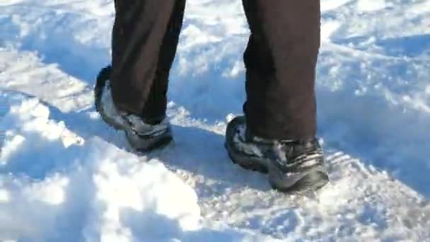 Bota impermeável alta masculina na neve no inverno. Menino usar calças de concha macia na cor de grão escuro. Caminhando no snowdrift com footprits. - Filmagem, Vídeo