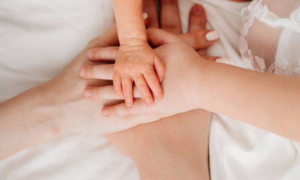 four hands against a white sheet. mom, dad, baby and newborn. - Fotó, kép