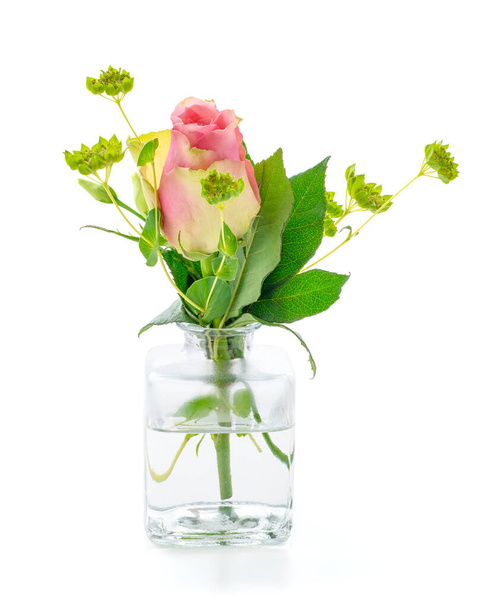 Egy rózsa egy üvegvázában, fehér alapon - Fotó, kép