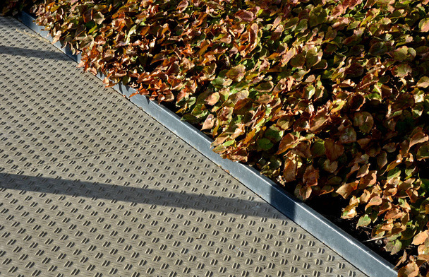 Beton-Monolith-Treppe mit der Textur aus extrudiertem geripptem, gewelltem Blech. Rampe mit Vegetation von Ziergräsern und Stauden Zinnrand Bordstein - Foto, Bild