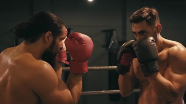 slow motion of hispanic boxer punching bearded opponent on boxing ring  - Footage, Video