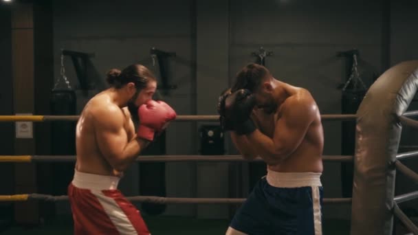 slow motion of hispanic bearded boxers fighting on boxing ring  - Séquence, vidéo