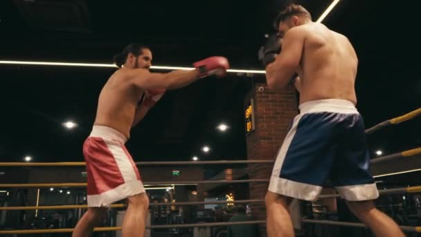slow motion van zijn paniekerige shirtloze boksers die vechten op de boksring  - Video
