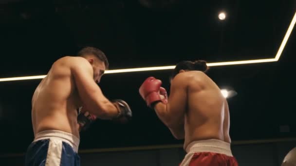 замедленное движение латиноамериканских сильных боксеров, сражающихся на ринге  - Кадры, видео