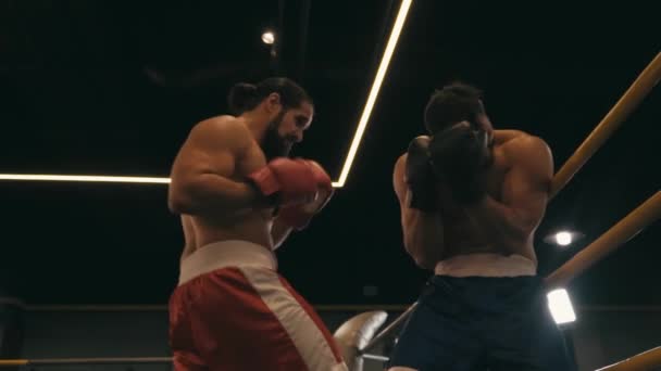 cámara lenta del boxeador hispano golpeando oponente en el ring de boxeo  - Imágenes, Vídeo