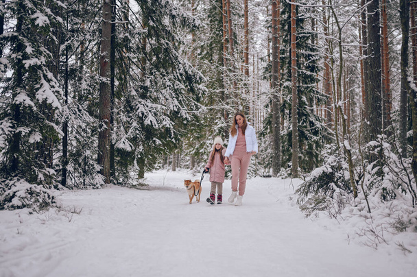 Šťastná rodina mladá matka a malá roztomilá dívka v růžové teplé prádlo chůze baví s červenou shiba inu pes v zasněžené bílé studené zimní les venku. Rodinné sportovní rekreační aktivity - Fotografie, Obrázek