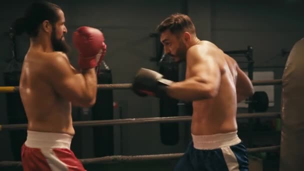 zpomalený pohyb hispánského boxera bušení svalnatého soupeře na boxerském ringu  - Záběry, video