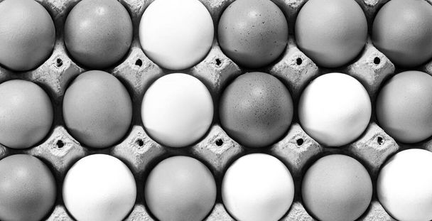 Lähikuva raaka kananmunat muna laatikko valkoinen, beige, eristetty tausta. Sekoita valkoiset ja ruskeat munat. - Valokuva, kuva