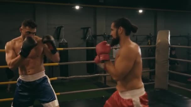 Бородатые и мускулистые испаноязычные боксеры сражаются на боксерском ринге  - Кадры, видео