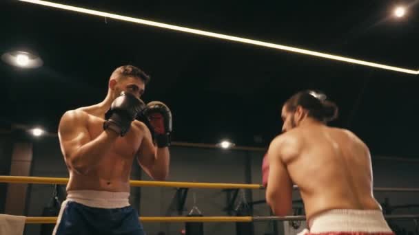 Sakallı İspanyol boksörlerin boks ringinde ağır çekimde dövüşmesi.  - Video, Çekim