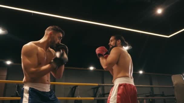 Zeitlupe muskulöser hispanischer Boxer, die auf dem Boxring kämpfen  - Filmmaterial, Video
