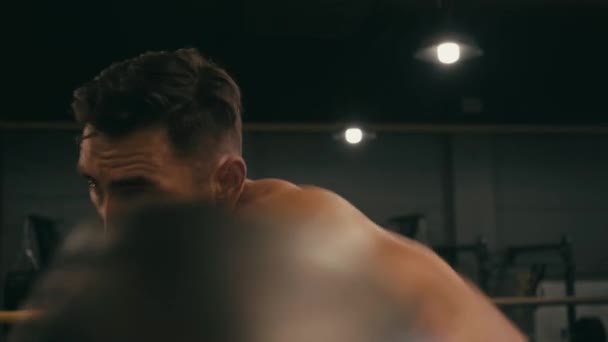 Hispanique homme torse nu dans des gants de boxe de travail sur le ring de boxe  - Séquence, vidéo