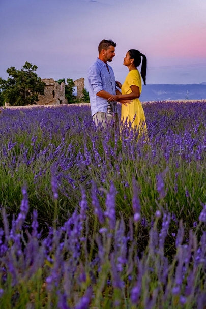 Provence, Lavender field at sunset, Valensole Plateau Provence France blooming lavender fields - Photo, Image