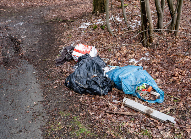 illegale vuilnisbelt aan de rand van het bos - Foto, afbeelding