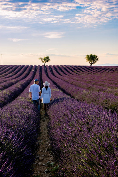 Provence, campo de lavanda ao pôr do sol, Valensole Plateau Provence França florescendo campos de lavanda - Foto, Imagem