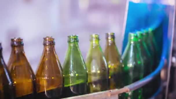 Linha de garrafas de vidro para cerveja transportadas por transportador - Filmagem, Vídeo