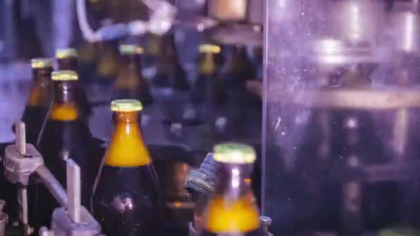 Glazen flessen met bier vervoerd door de productielijn - Video