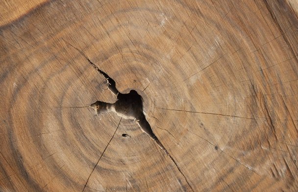 Primer plano del tocón de madera blanqueada erosionada creando fondo de pantalla natural. - Foto, imagen