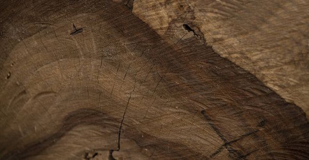 Múltiples tonos de madera de árbol de corte natural haciendo un fondo de banner. - Foto, imagen
