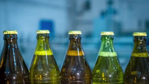 Bottles of beer closed with tin caps transported by conveyor - Footage, Video