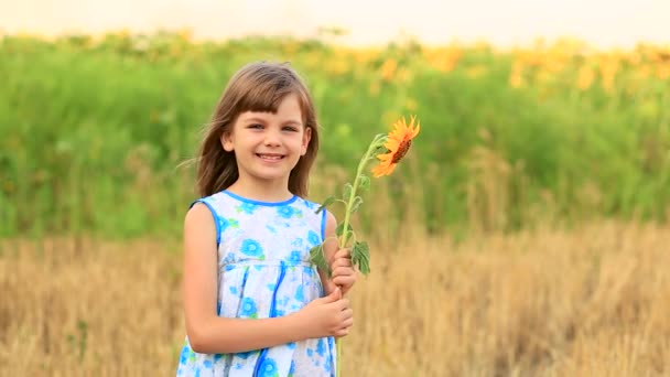 Onnellinen muotokuva pikkutyttö kentällä piilottaa silmän auringonkukka - Materiaali, video
