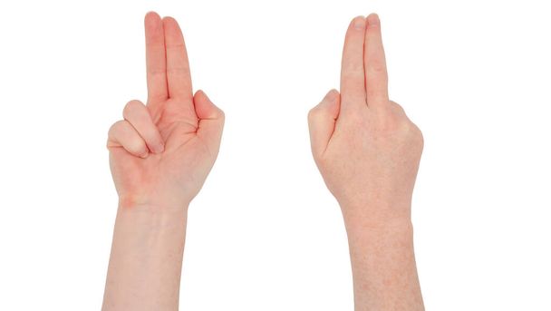 Manos blancas pecosas. Mano de mujer aislada, adelante y atrás, índice y segundo dedo juntos y apuntando, anular y meñique doblados. Pulgar metida en - Foto, Imagen
