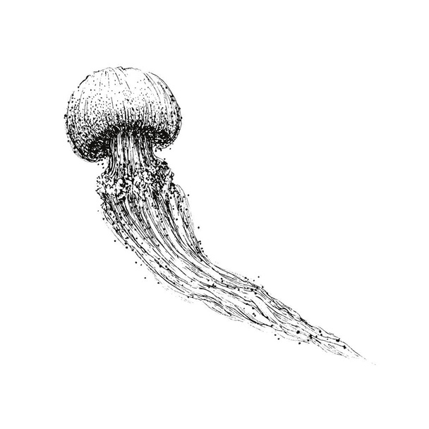 Beyaz arka planda izole edilmiş denizanası. Denizanası eli çizimi - Vektör, Görsel