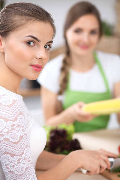 Two women are cooking fresh salad in a kitchen and having a pleasure talk. Friends and Chef Cook concept. - Foto, Bild
