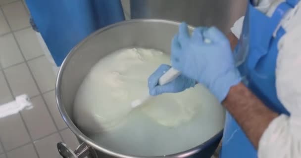 Nahaufnahmen von Männern bei der Herstellung von Mozzarella-Käse in einer Molkerei - Filmmaterial, Video