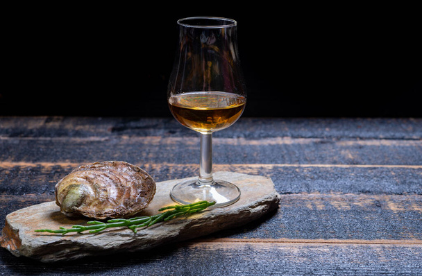 Σύζευξη τροφίμων και ποτών, φρέσκα ωμά ευρωπαϊκά επίπεδα στρείδια που καλλιεργούνται στη Βρετάνη στον ποταμό Belon, Γαλλία, κοντά και ουίσκι single malt whisky από το νησί Islay, Σκωτία - Φωτογραφία, εικόνα
