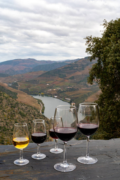 Tasting of Portuguese fortified dessert and dry port wine and dry red wine, produced in Douro Valley with Douro river and colorful terraced vineyards on background in autumn, Portugal - Photo, Image