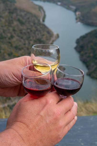 Degustación de postre fortificado portugués y vino de Oporto seco, producido en el valle del Duero con el río Duero y coloridos viñedos en terrazas en el fondo en otoño, Portugal - Foto, imagen