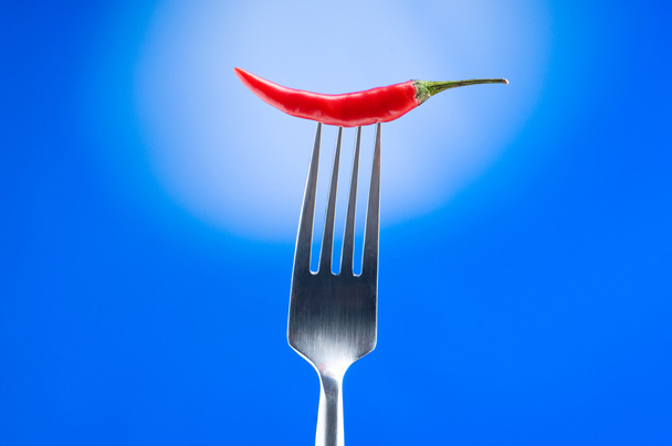 Hot pepper on the fork against colour background - 写真・画像