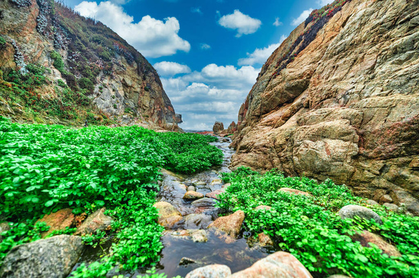 Прекрасний пейзаж, пляж і бухта, парк штату Гаррапата, Біг-Сюр, Каліфорнія, США - Фото, зображення