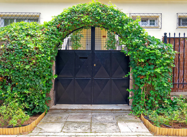 çağdaş ev girişi metalik siyah kapı ve yeşillik kemeri - Fotoğraf, Görsel