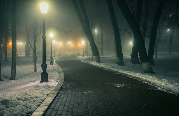 Переулок ночного зимнего парка в тумане. Пешеходная дорожка в сказочном зимнем городском парке ночью в тумане со скамейками и латтернами. Прекрасный туманный вечер в Мариинском парке. Киев, Украина. - Фото, изображение