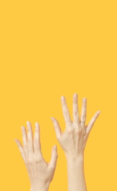 Ženské ruce na žlutém pozadí. Minimální ruce natahují rozložení. - Fotografie, Obrázek